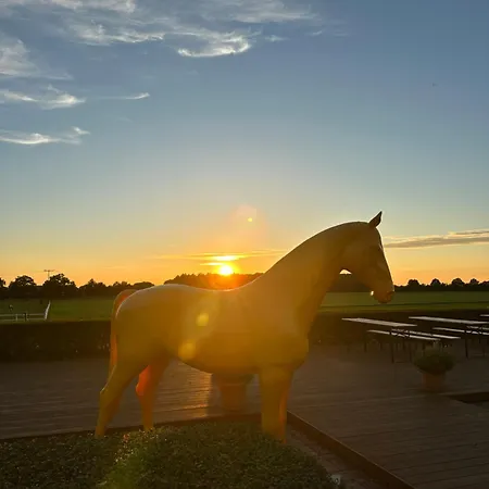 Apartament Gut Aspern Polohof