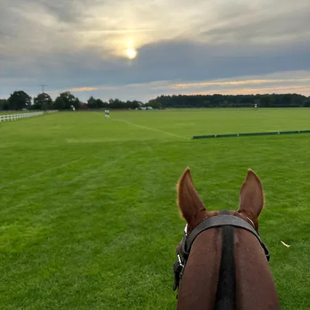 Gut Aspern Polohof *